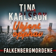 "Ukjent opphav" av Tina Karlsson