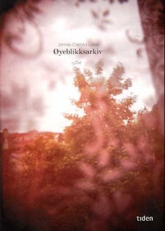"Øyeblikksarkiv - dikt" av Janne-Camilla Lyster