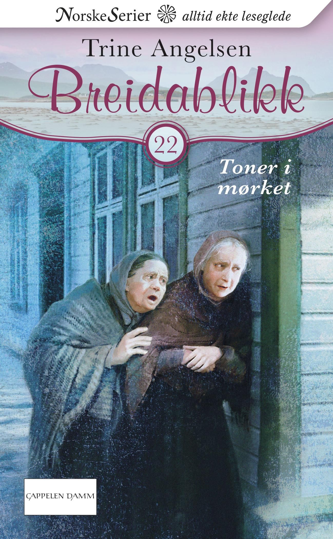 "Toner i mørket" av Trine Angelsen