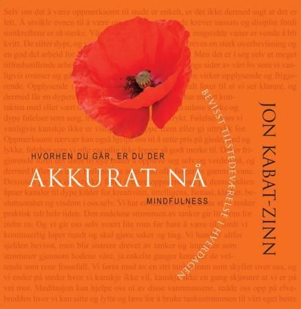 "Akkurat nå - bevisst tilstedeværelse i hverdagen" av Jon Kabat-Zinn