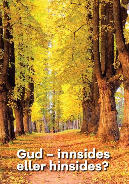 "Gud - innsides eller hinsides? - om hjernens egen religiøsitet" av Aud Bruknapp