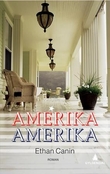 Omslagsbilde av Amerika Amerika