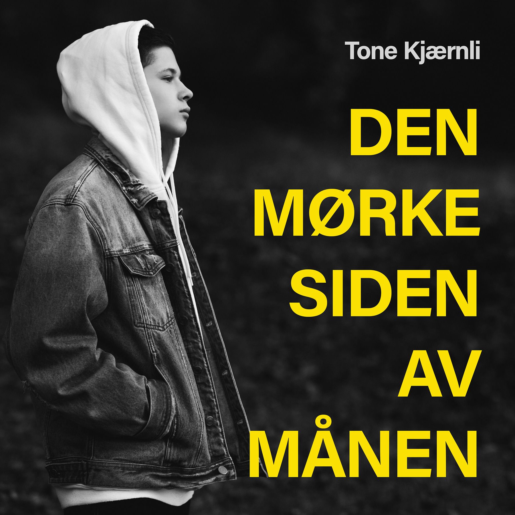 "Den mørke siden av månen" av Tone Kjærnli