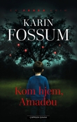 "Kom hjem, Amadou" av Karin Fossum