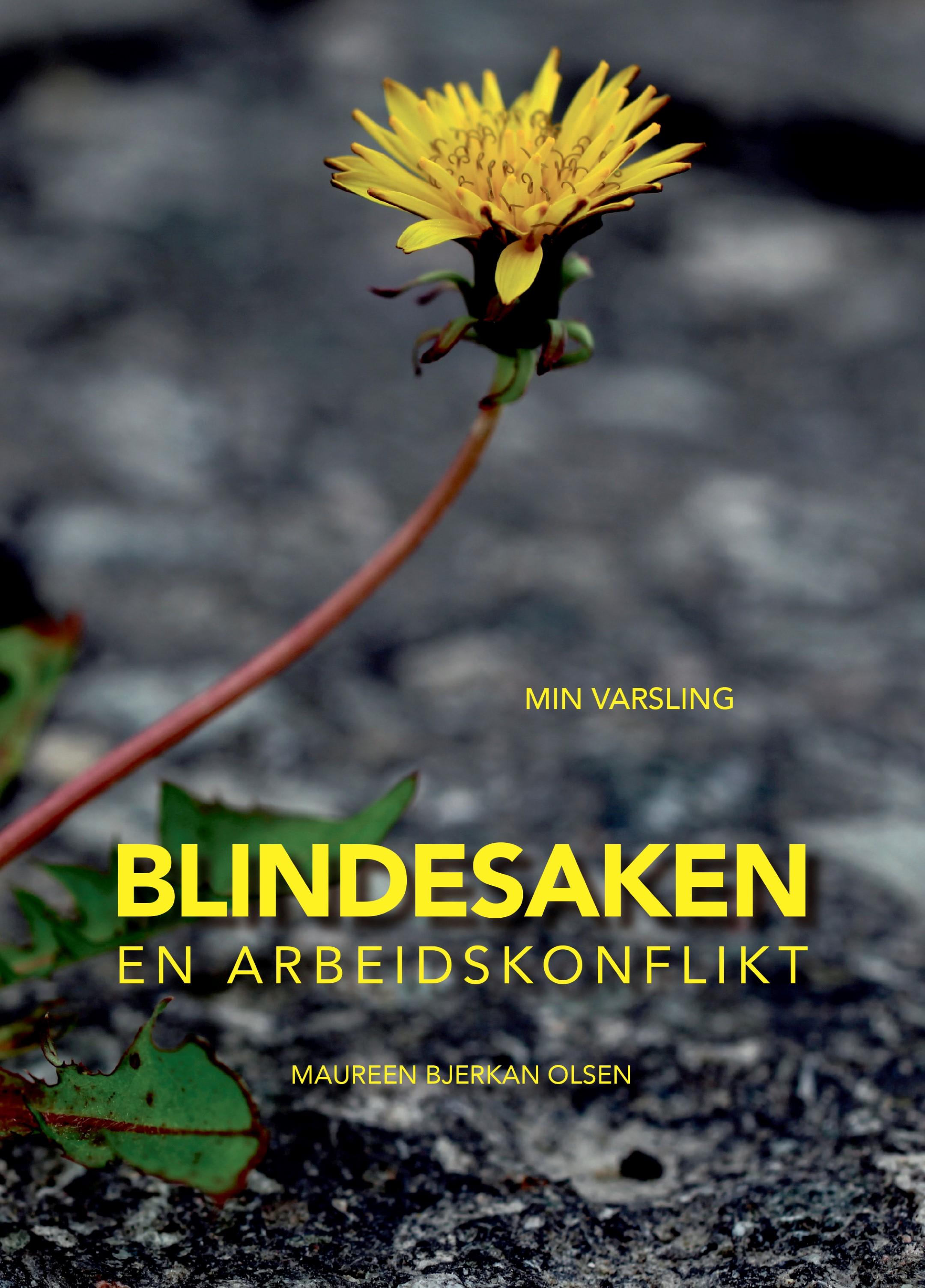 "Blindesaken - en arbeidskonflikt" av Maureen Bjerkan Olsen