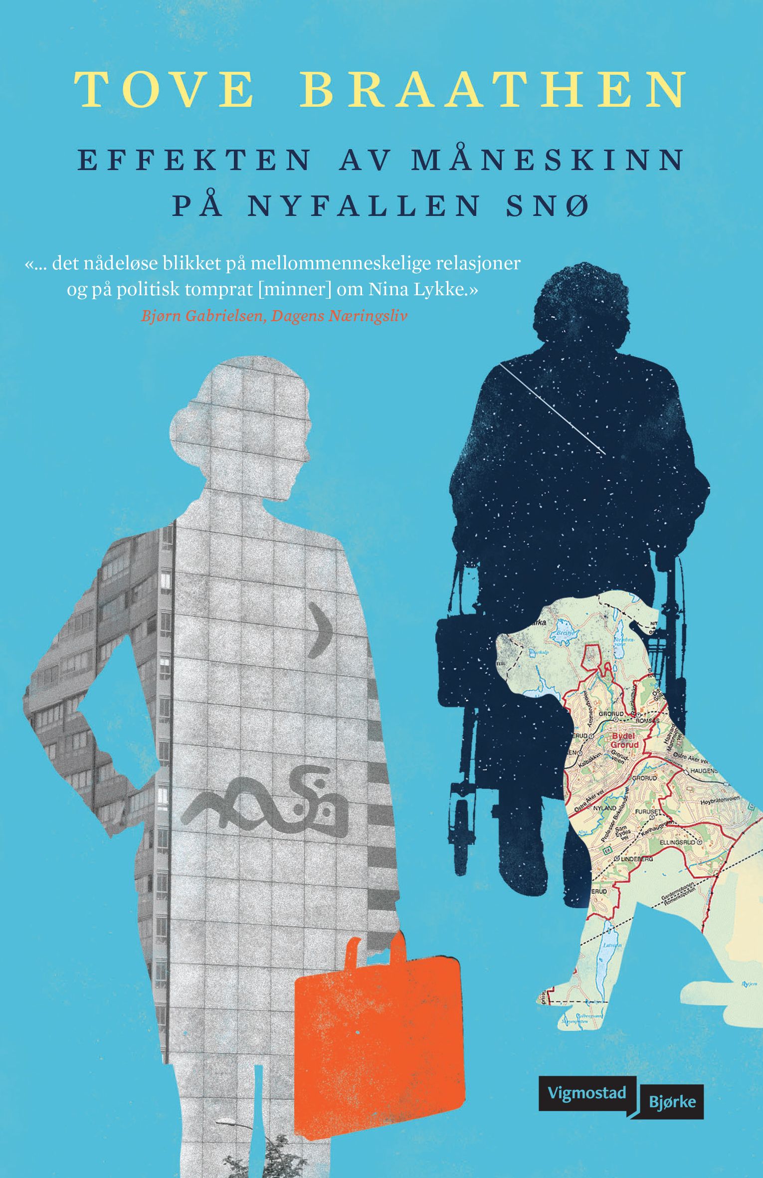 "Effekten av måneskinn på nyfallen snø" av Tove Braathen