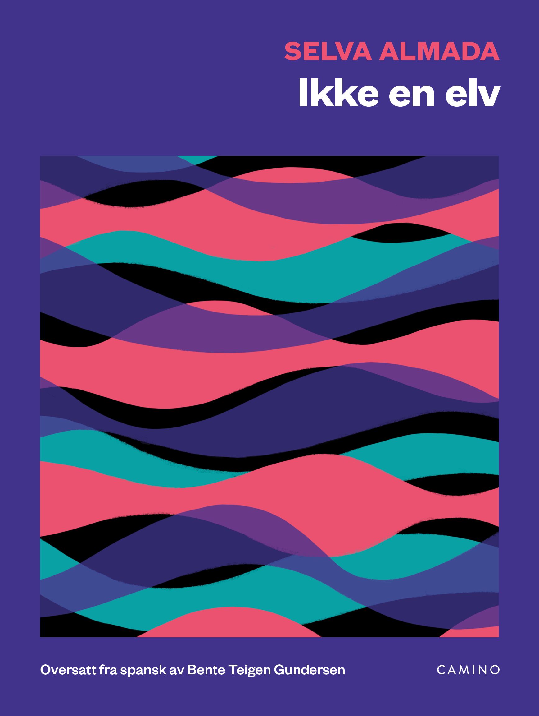 "Ikke en elv" av Selva Almada