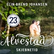 "Skjebnetid" av Elin Brend Johansen
