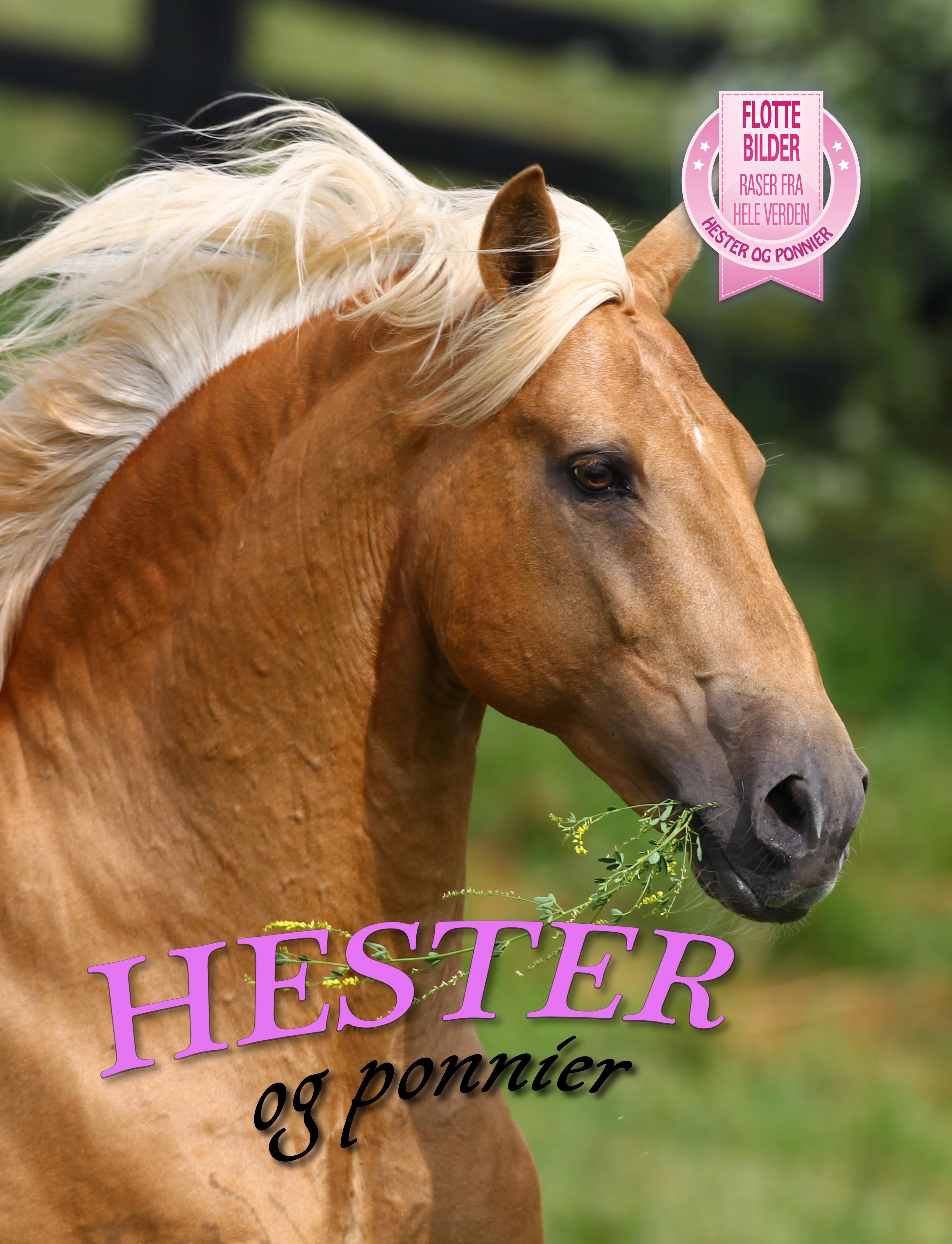"Hester og ponnier" av Nicola Jane Swinney