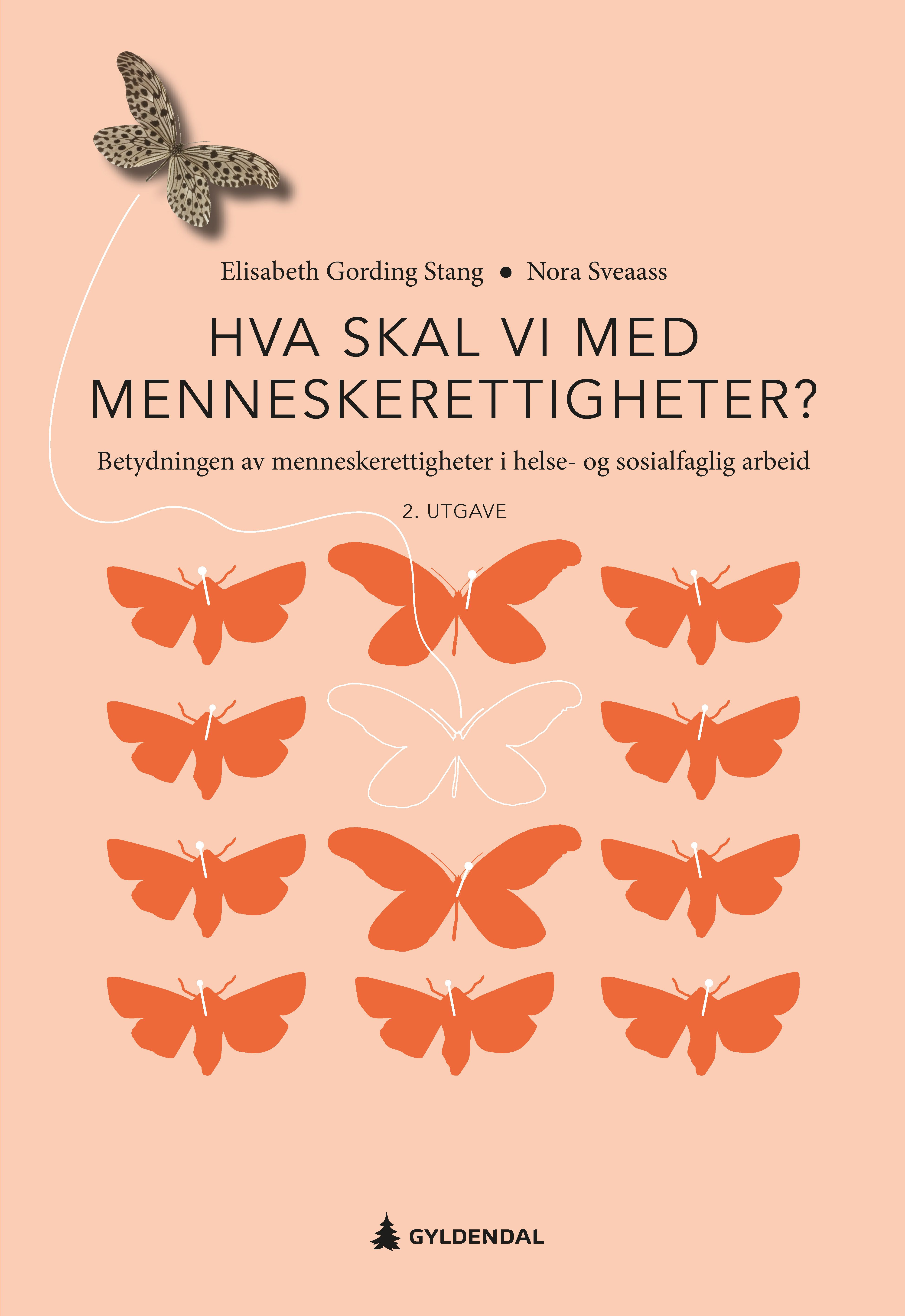 "Hva skal vi med menneskerettigheter? - betydningen av menneskerettigheter i helse- og sosialfaglig arbeid" av Elisabeth Gording Stang