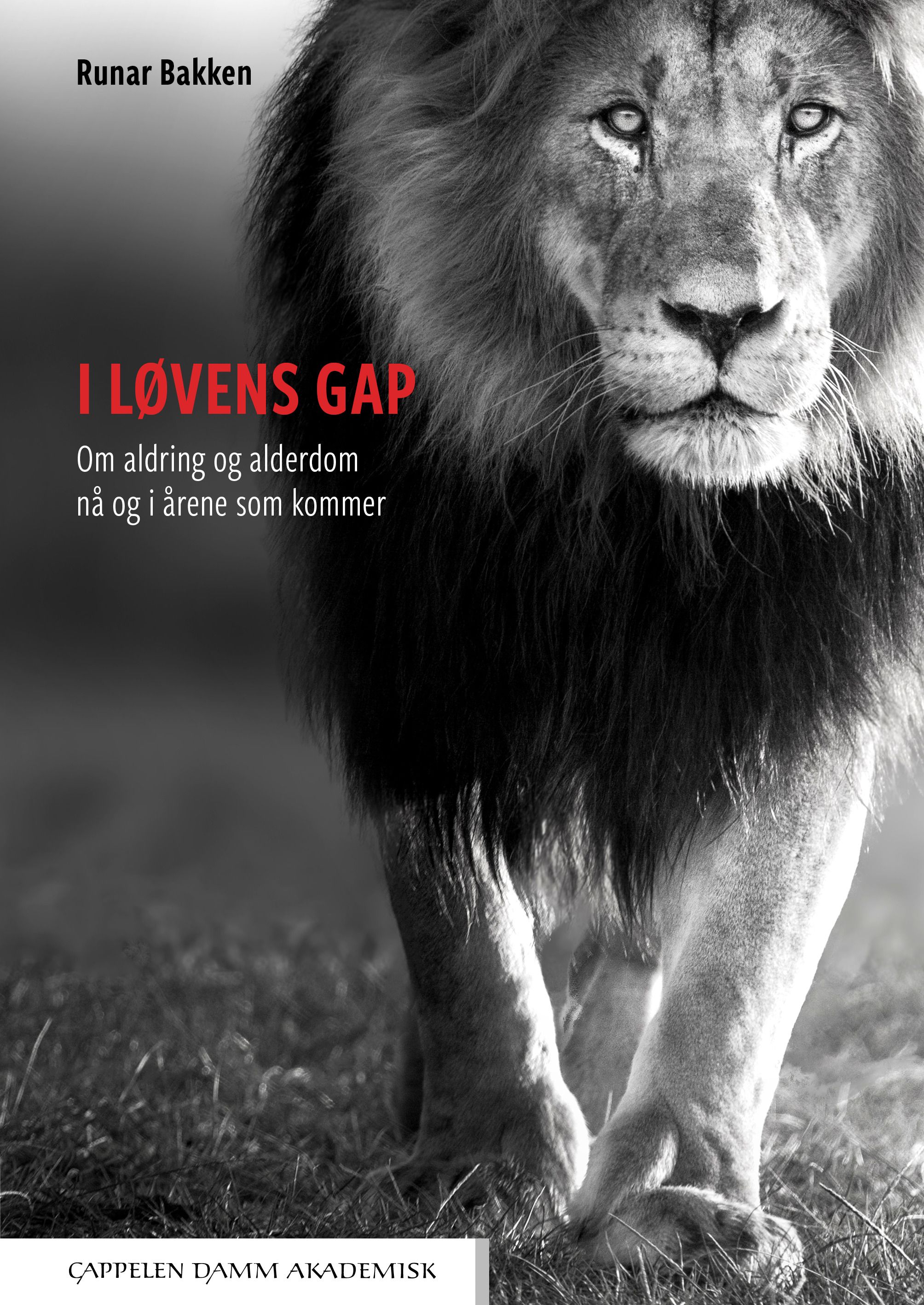 "I løvens gap - om aldring og alderdom nå og i årene som kommer" av Runar Bakken
