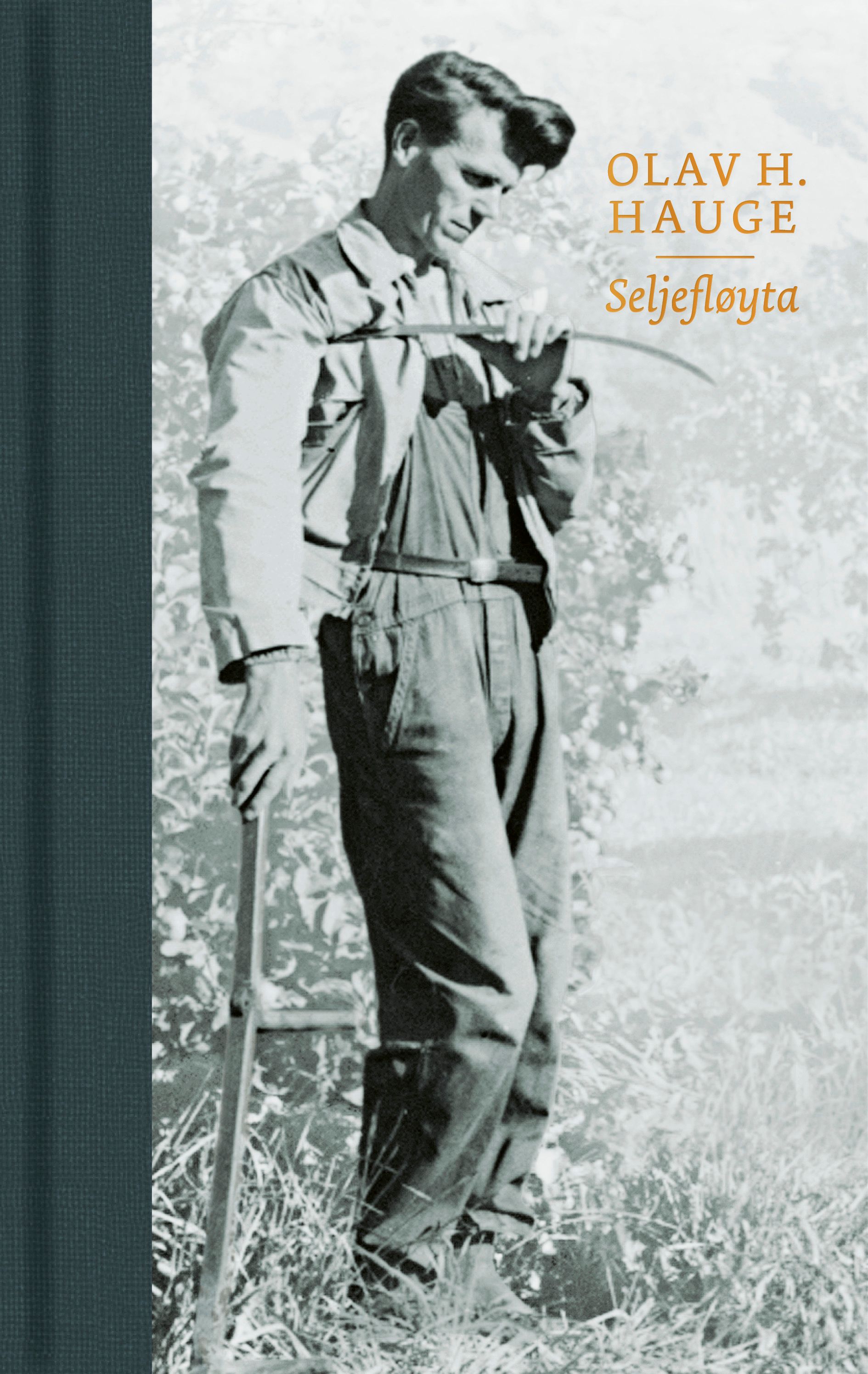 "Seljefløyta - dikt" av Olav H. Hauge