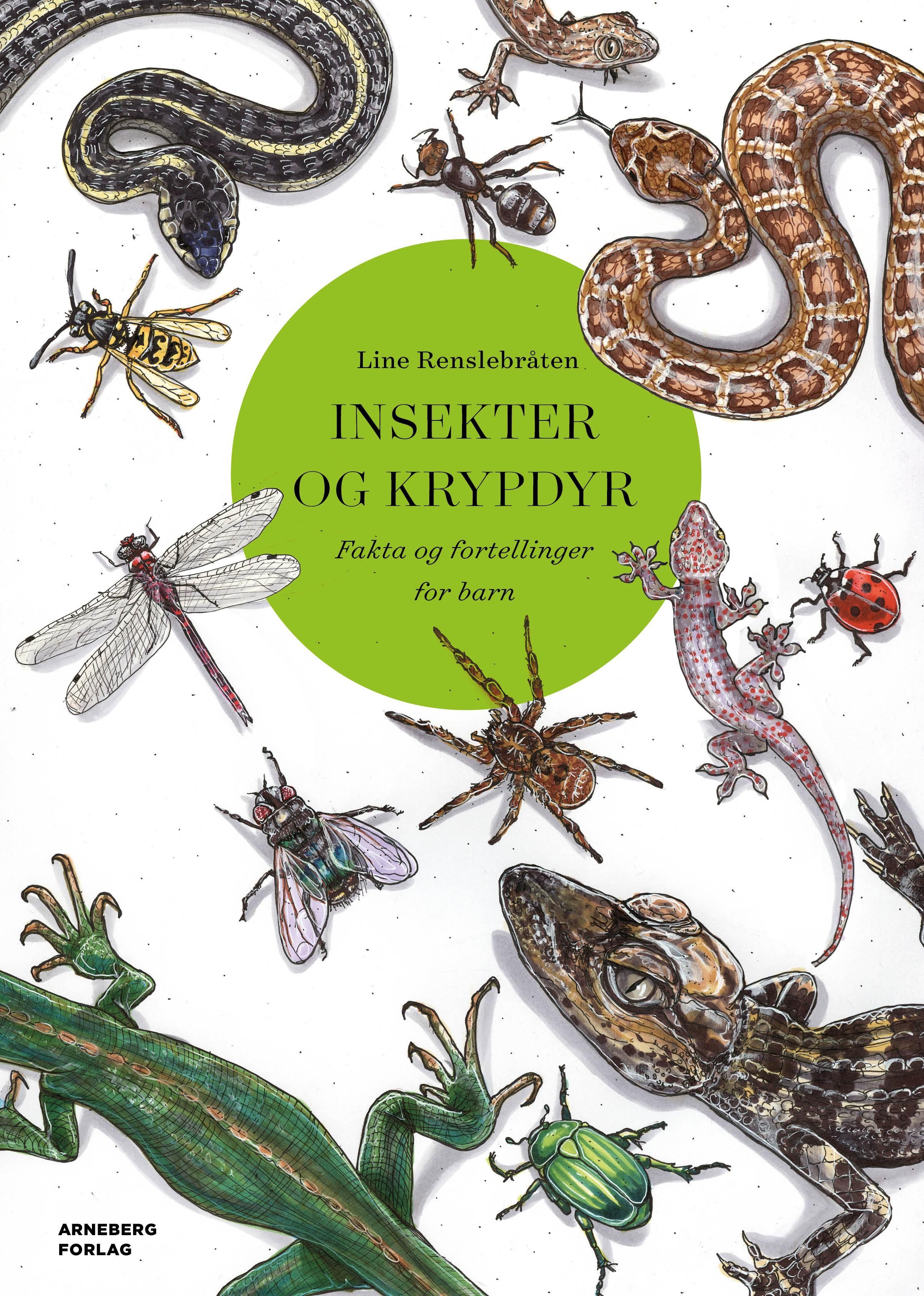 "Insekter og krypdyr - fakta og fortellinger for barn" av Line Renslebråten