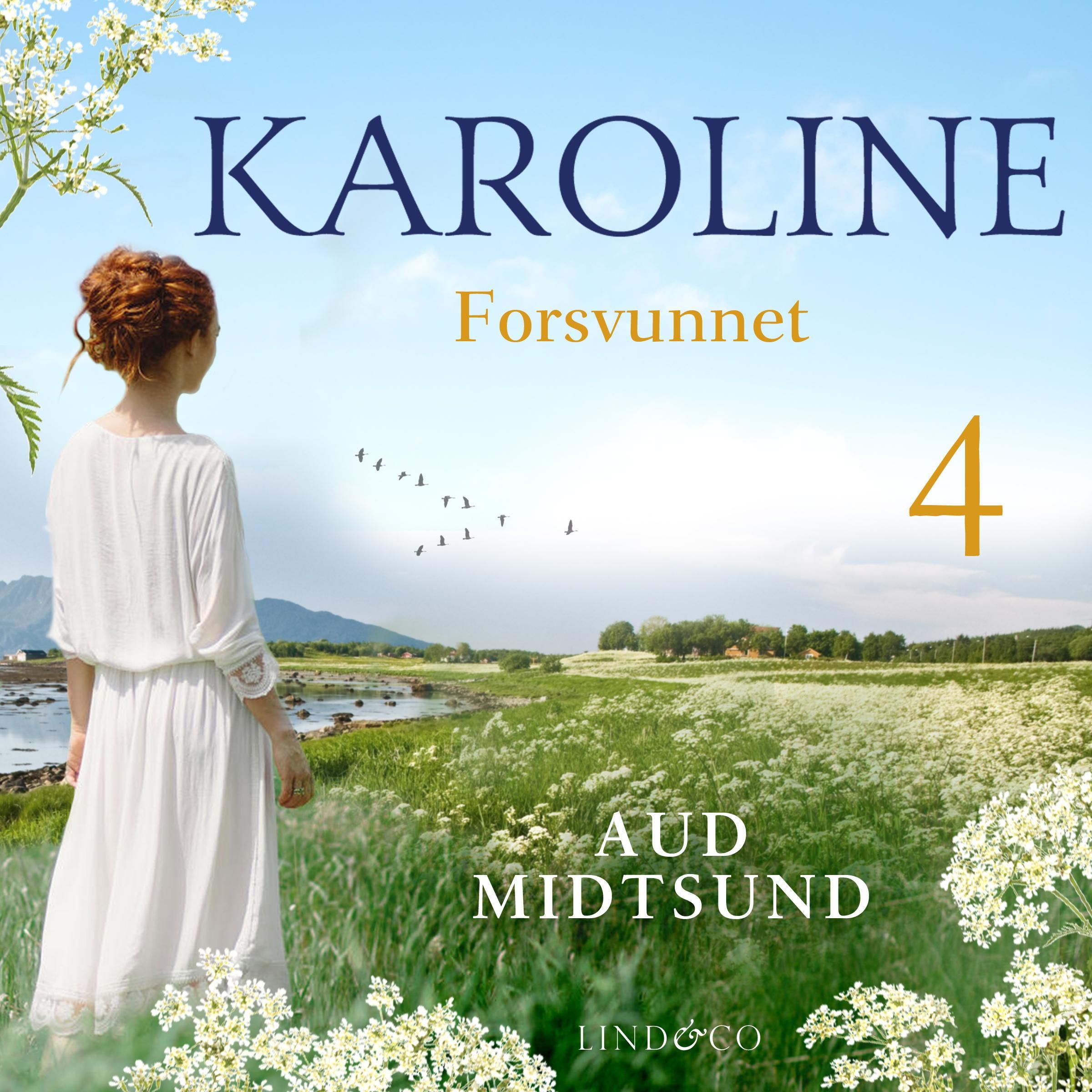 "Forsvunnet" av Aud Midtsund