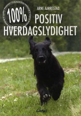 "100 % positiv hverdagslydighet" av Arne Aarrestad