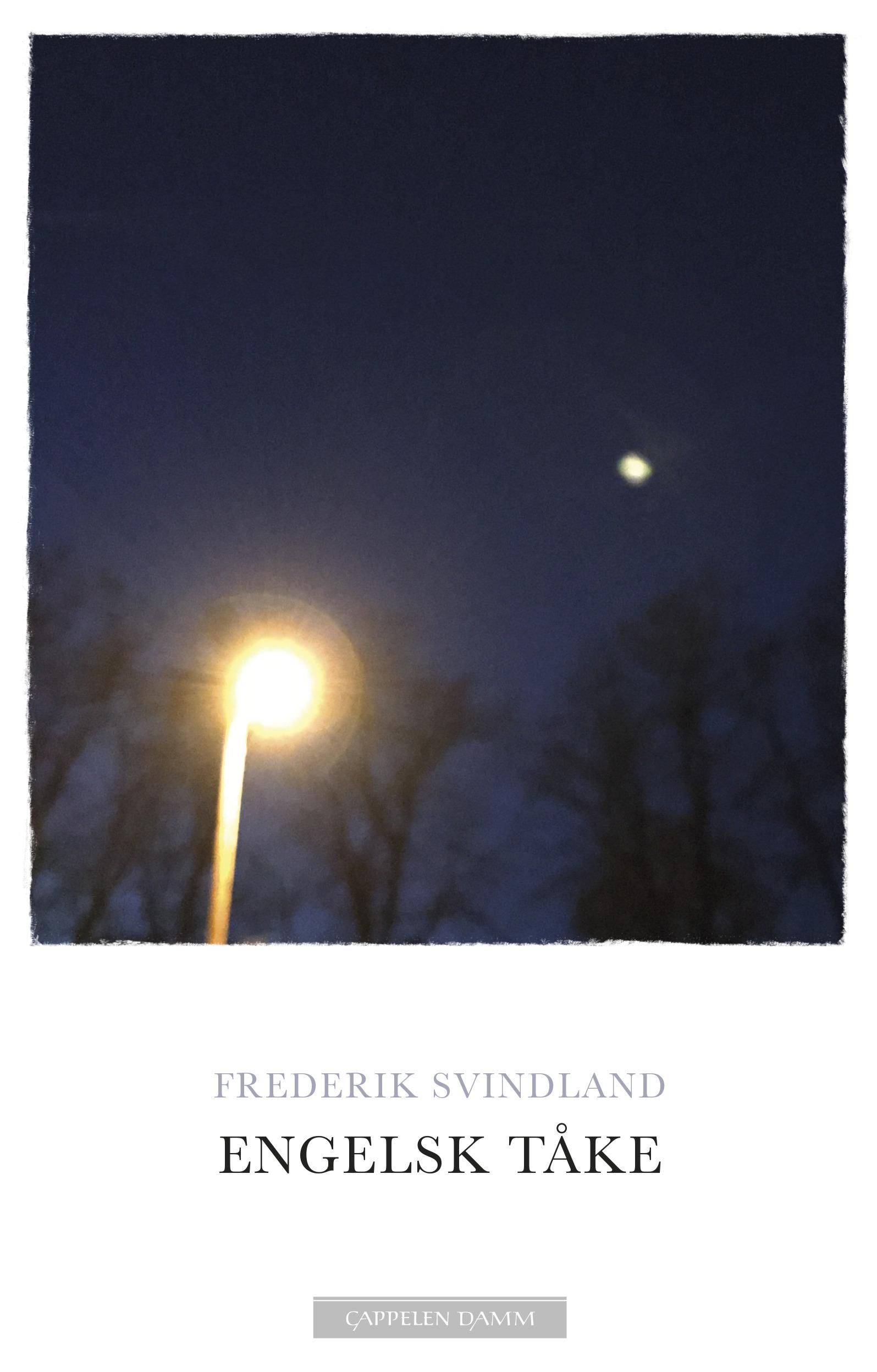 "Engelsk tåke - roman" av Frederik Svindland