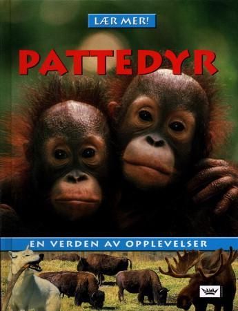 "Pattedyr - en verden av opplevelser" av Dagny Holm