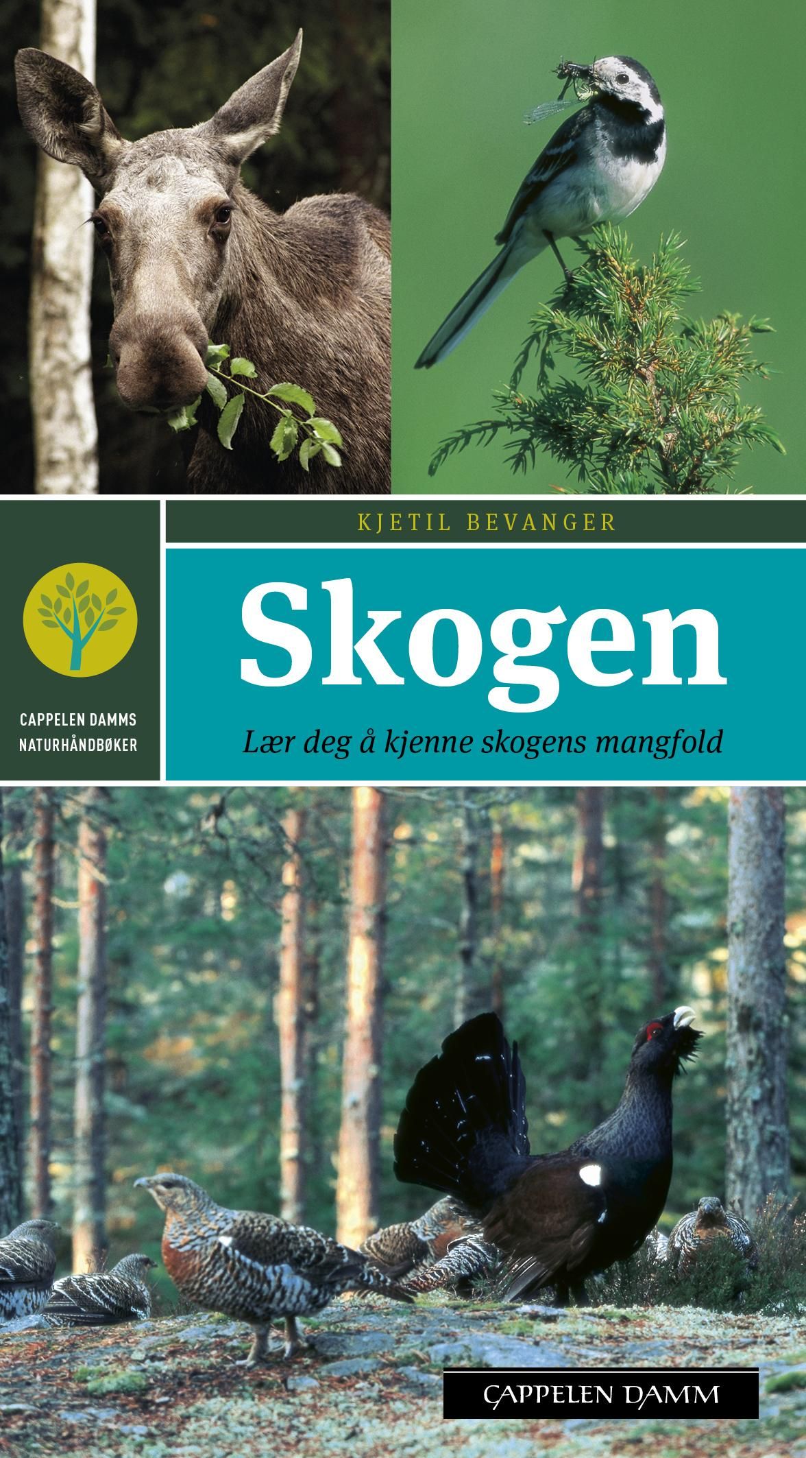 "Skogen - lær deg å kjenne skogens mangfold" av Kjetil Bevanger