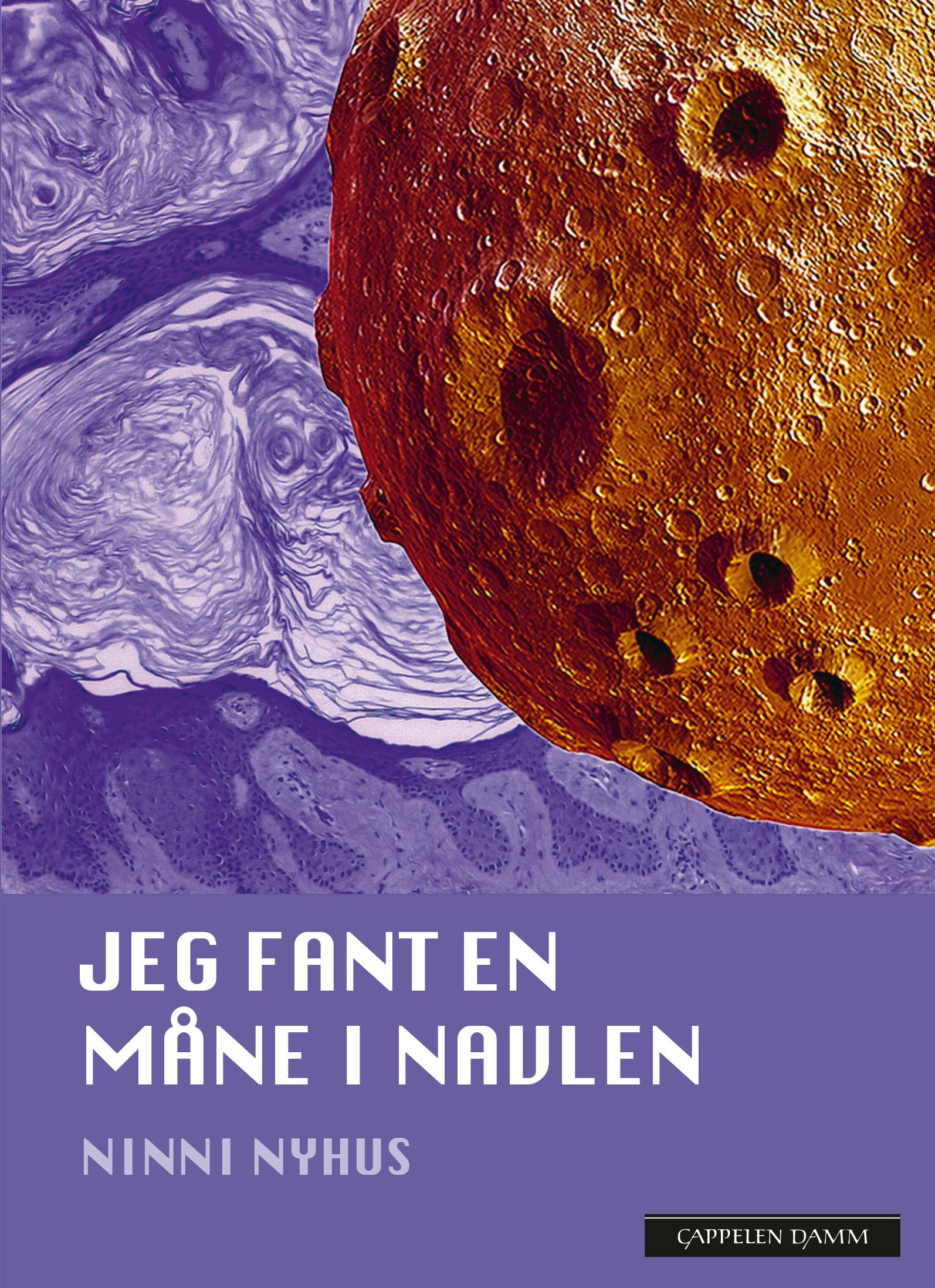 "Jeg fant en måne i navlen" av Ninni Nyhus