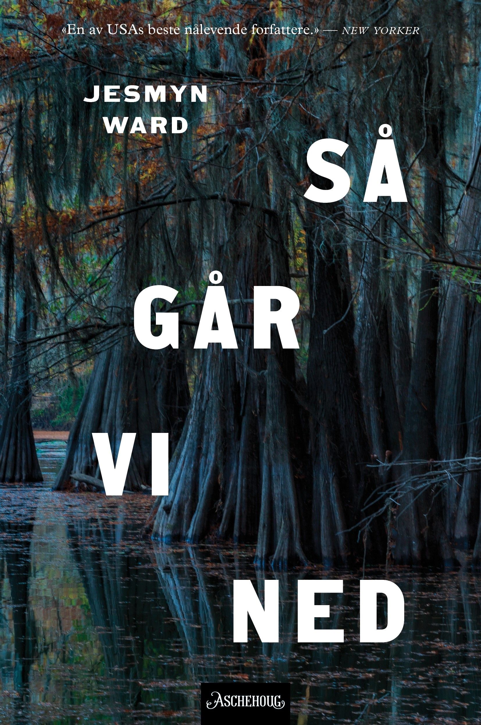 "Så går vi ned" av Jesmyn Ward