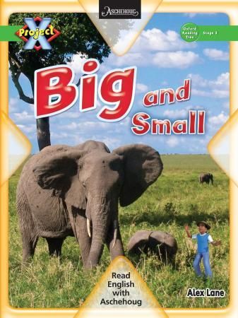 "Big and small - stage 2" av Tony Bradman