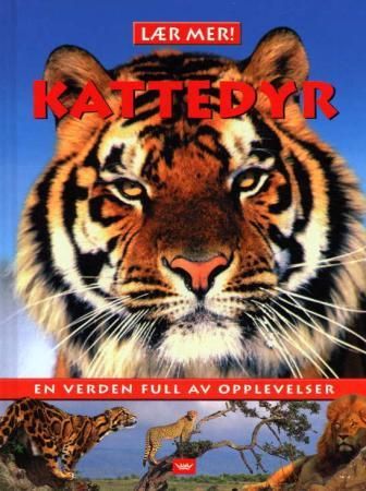 "Kattedyr - en verden full av opplevelser" av Sarah Walker