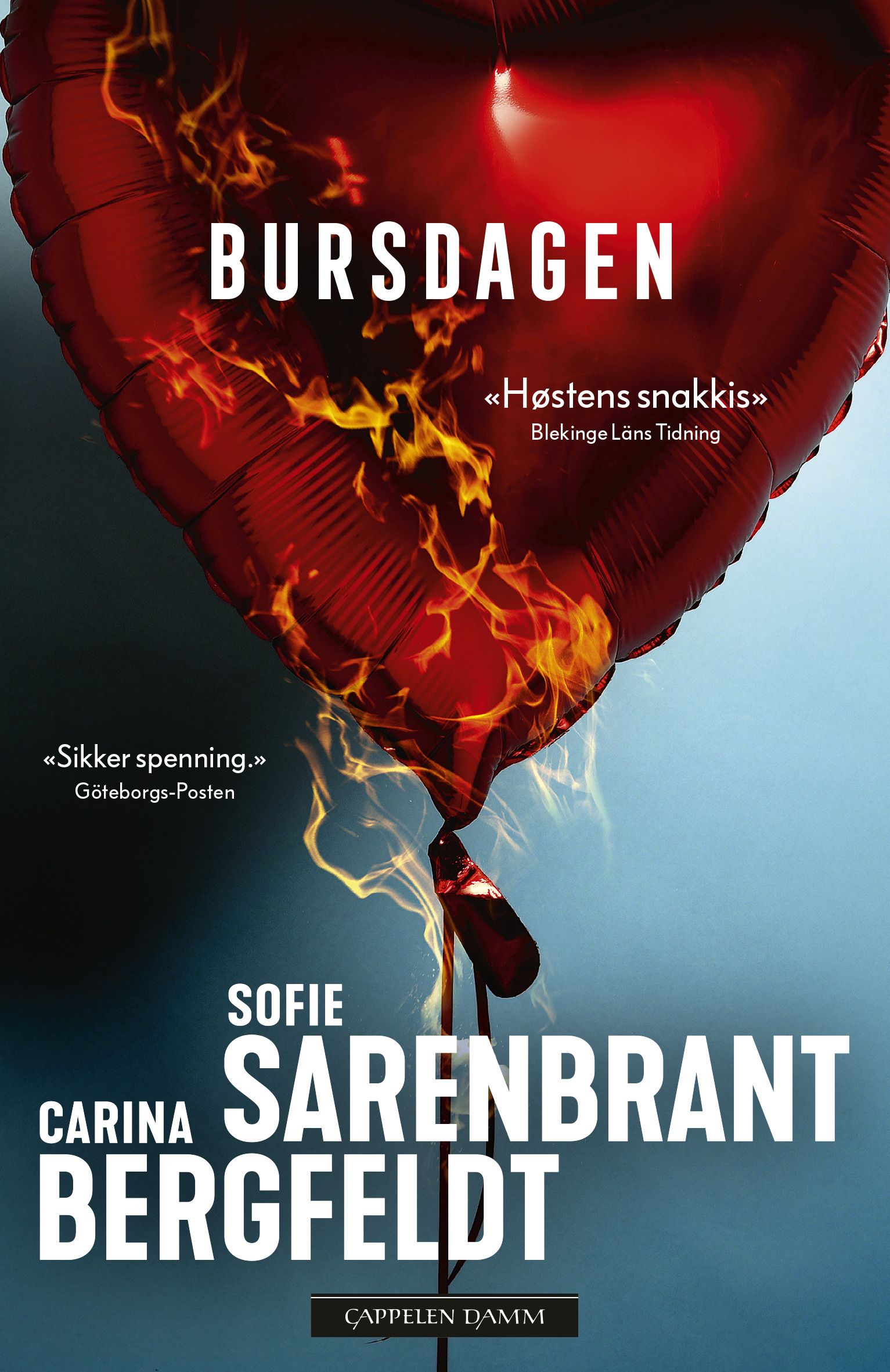 "Bursdagen" av Sofie Sarenbrant
