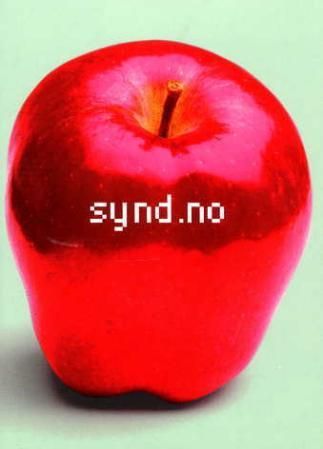 "Synd.no" av Marit Eikemo