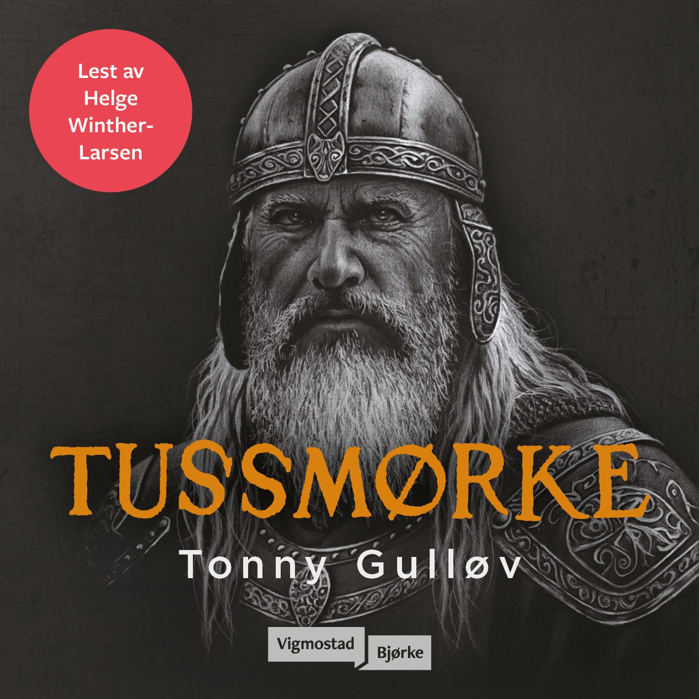 "Tussmørke" av Tonny Gulløv