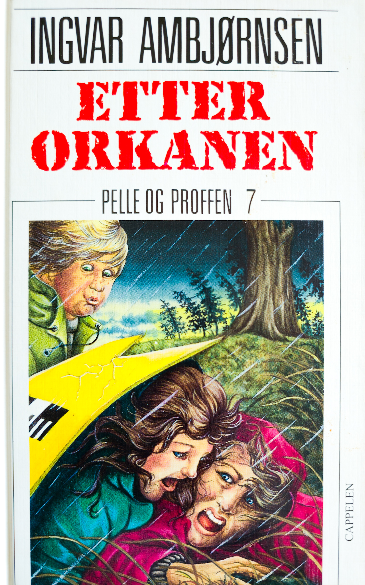 "Etter orkanen" av Ingvar Ambjørnsen