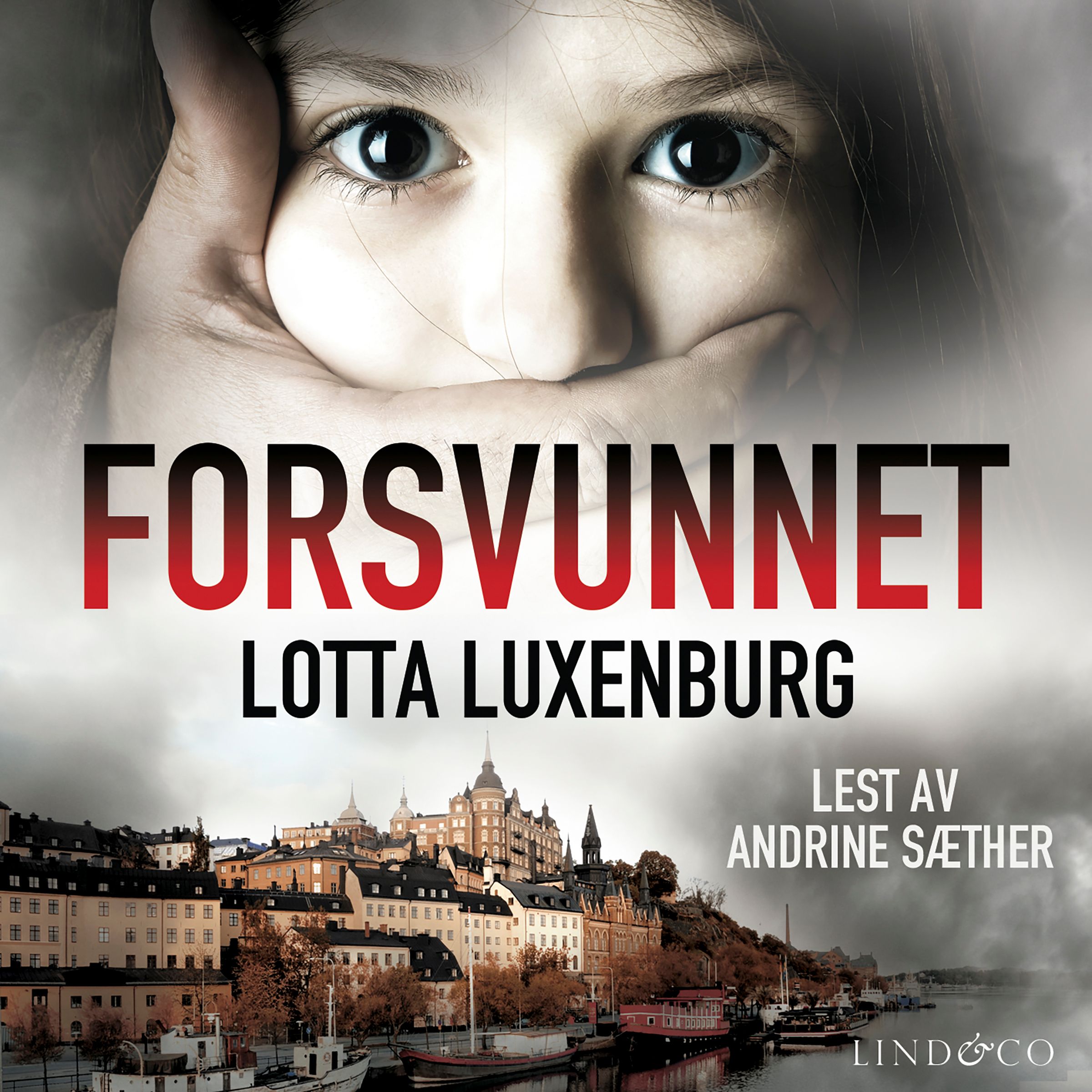 "Forsvunnet" av Lotta Luxenburg