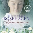 "Gjennom natten" av Merete Lien
