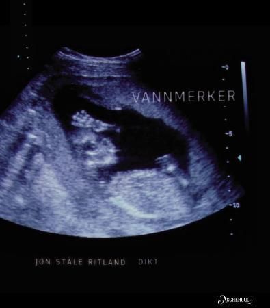 "Vannmerker - dikt" av Jon Ståle Ritland