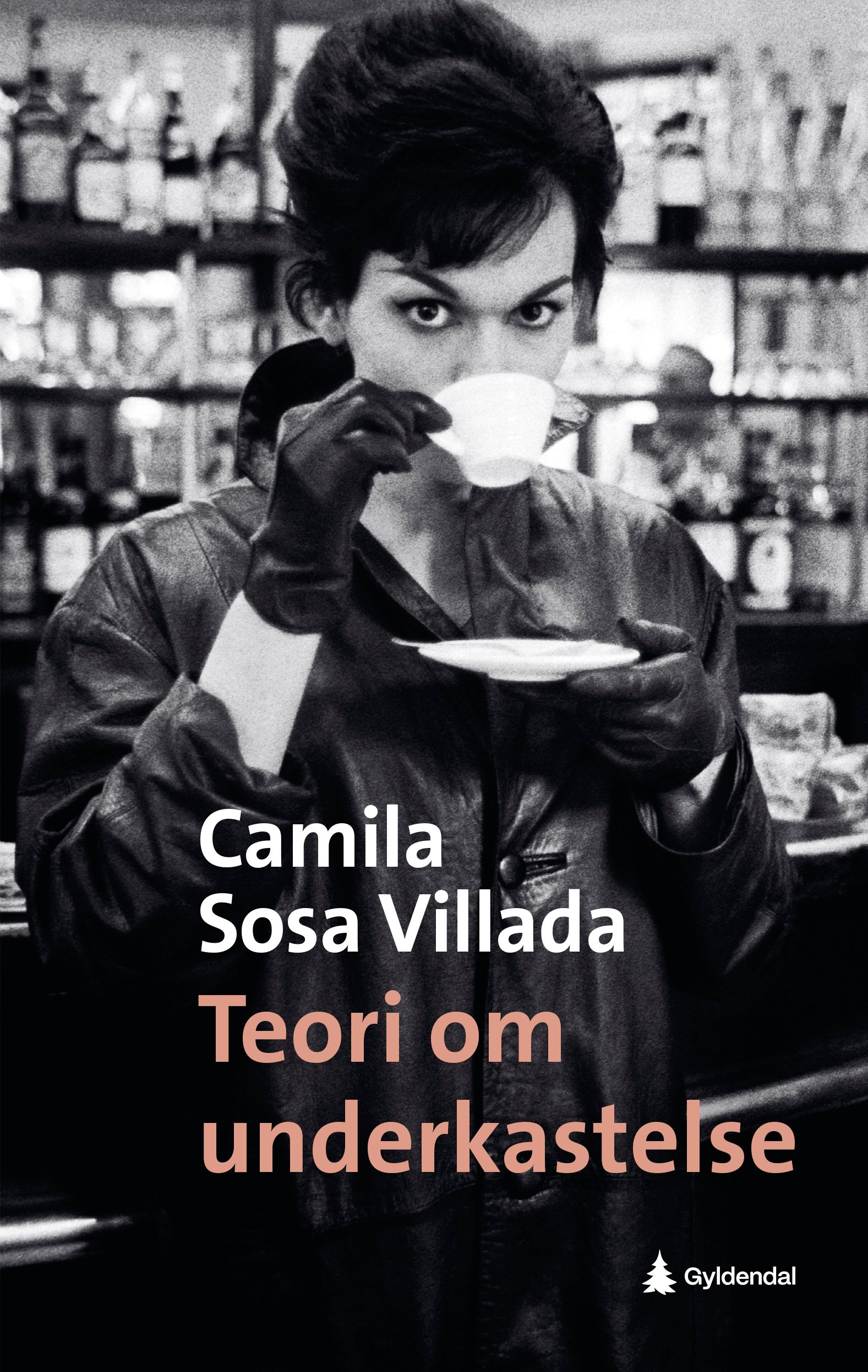 "Teori om underkastelse" av Camila Sosa Villada