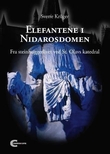 "Elefantene i Nidarosdomen - fra steinhuggerlivet ved St. Olavs katedral" av Sverre Krüger
