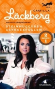Omslagsbilde av Steinhuggeren ; Ulykkesfuglen