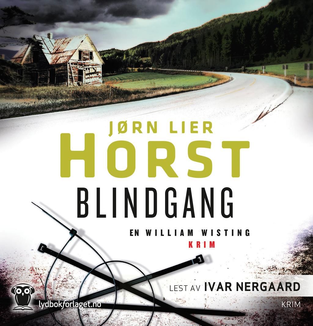 "Blindgang - kriminalroman" av Jørn Lier Horst