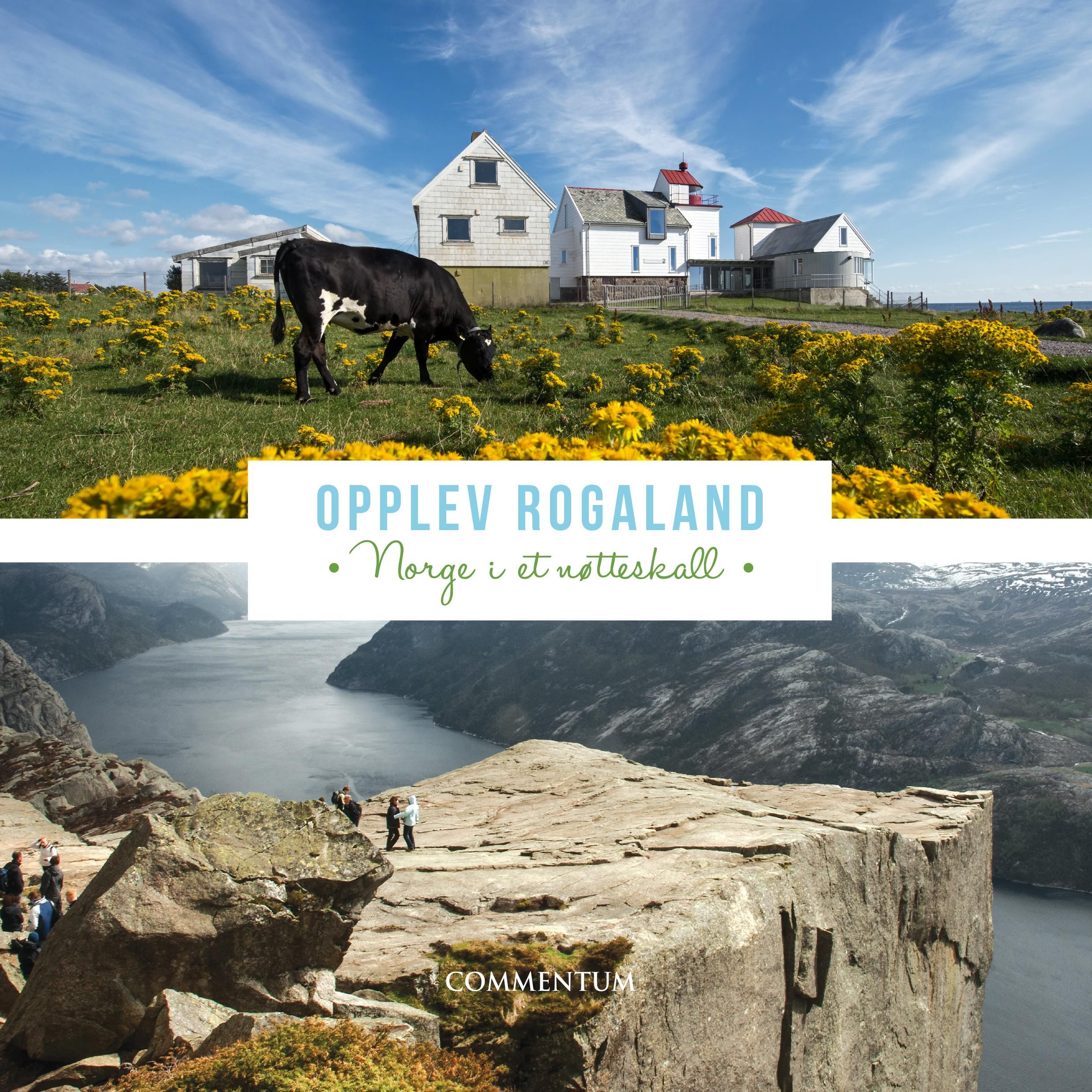 "Opplev Rogaland - Norge i et nøtteskall : en reise gjennom de 26 kommunene i Rogaland" av Barbara K. Mang