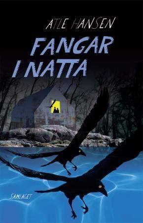 "Fangar i natta - spenningsroman" av Atle Hansen