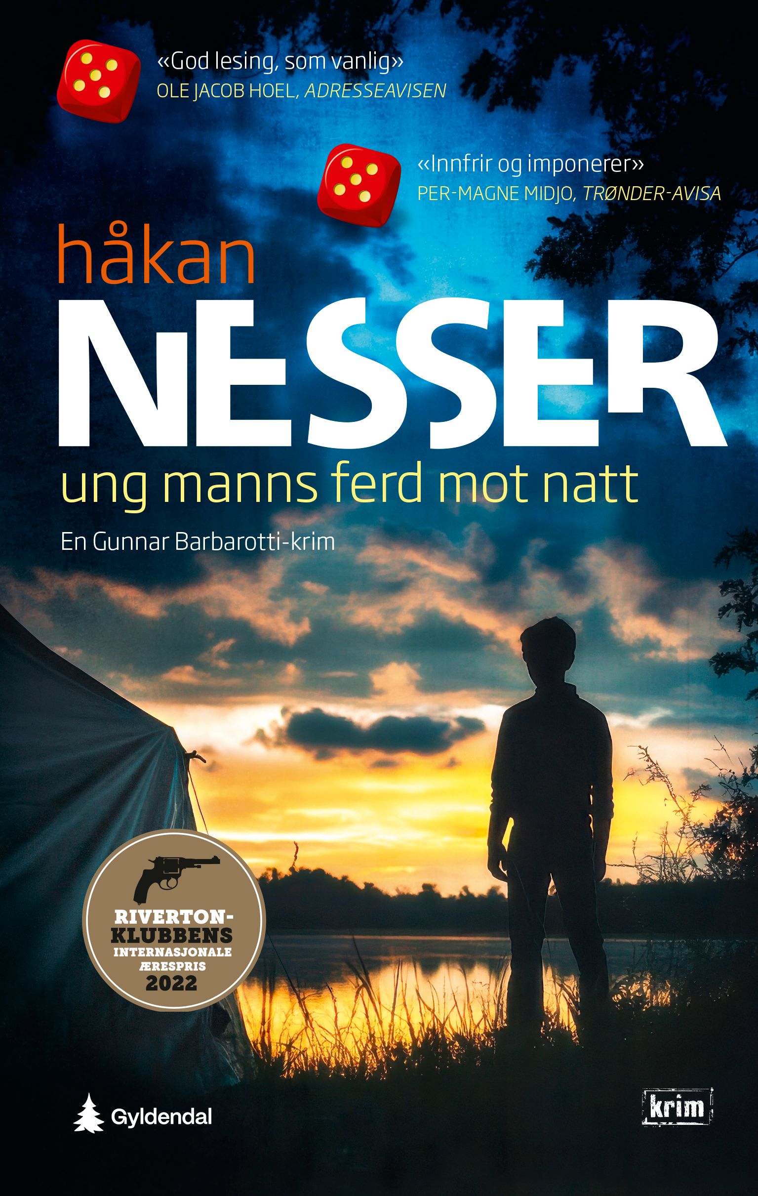 "Ung manns ferd mot natt" av Håkan Nesser