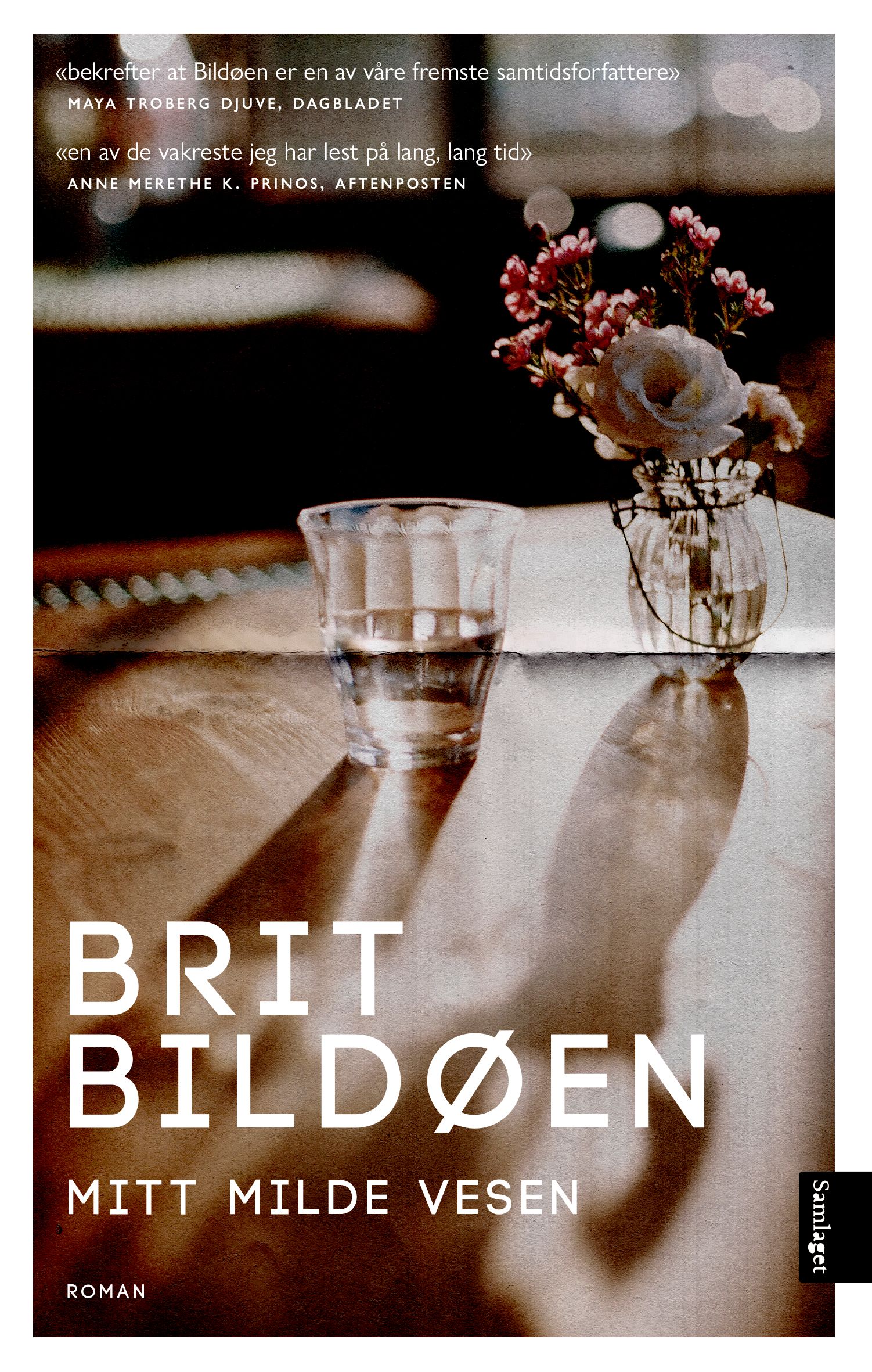 "Mitt milde vesen" av Brit Bildøen