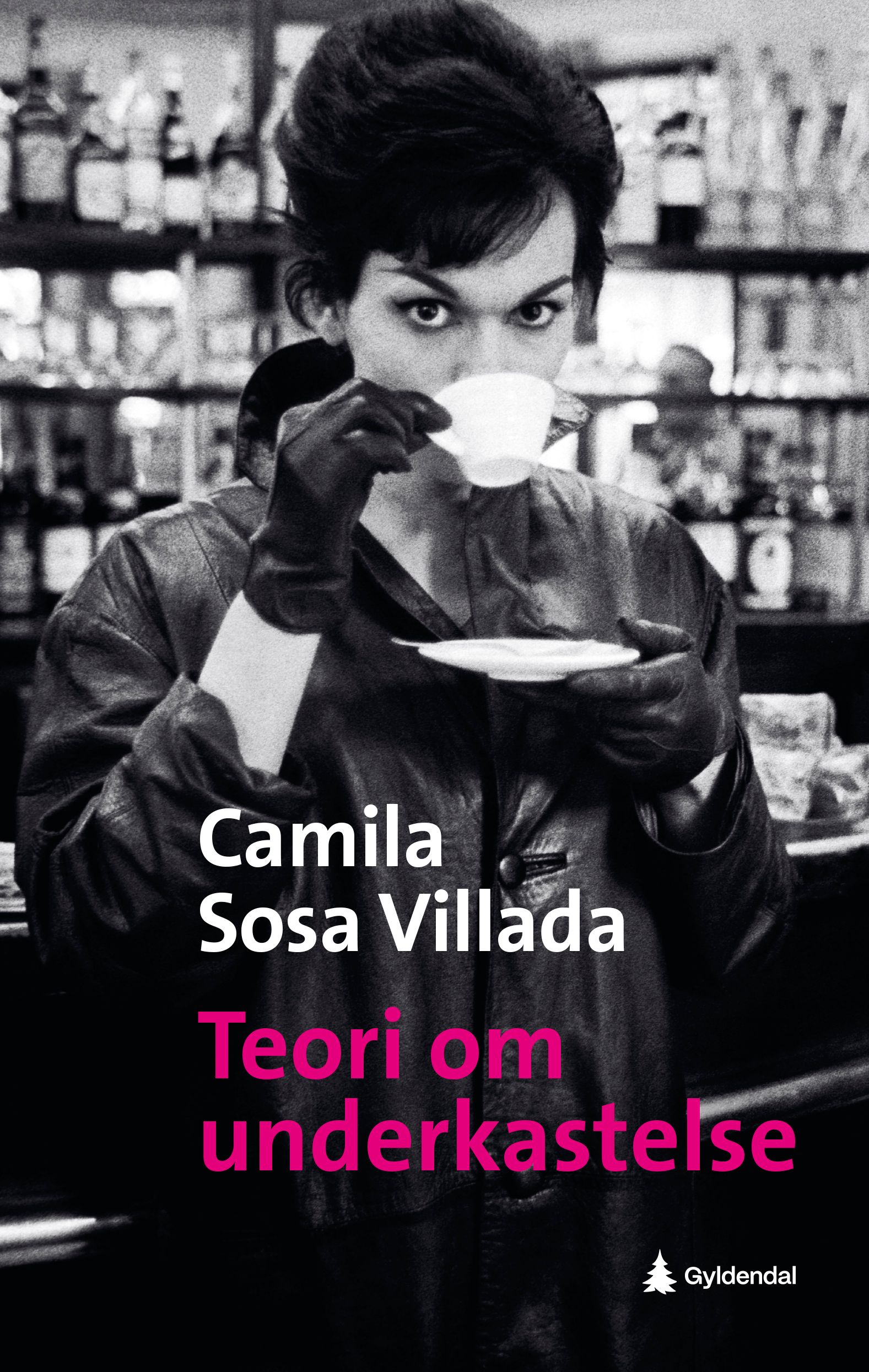 "Teori om underkastelse" av Camila Sosa Villada