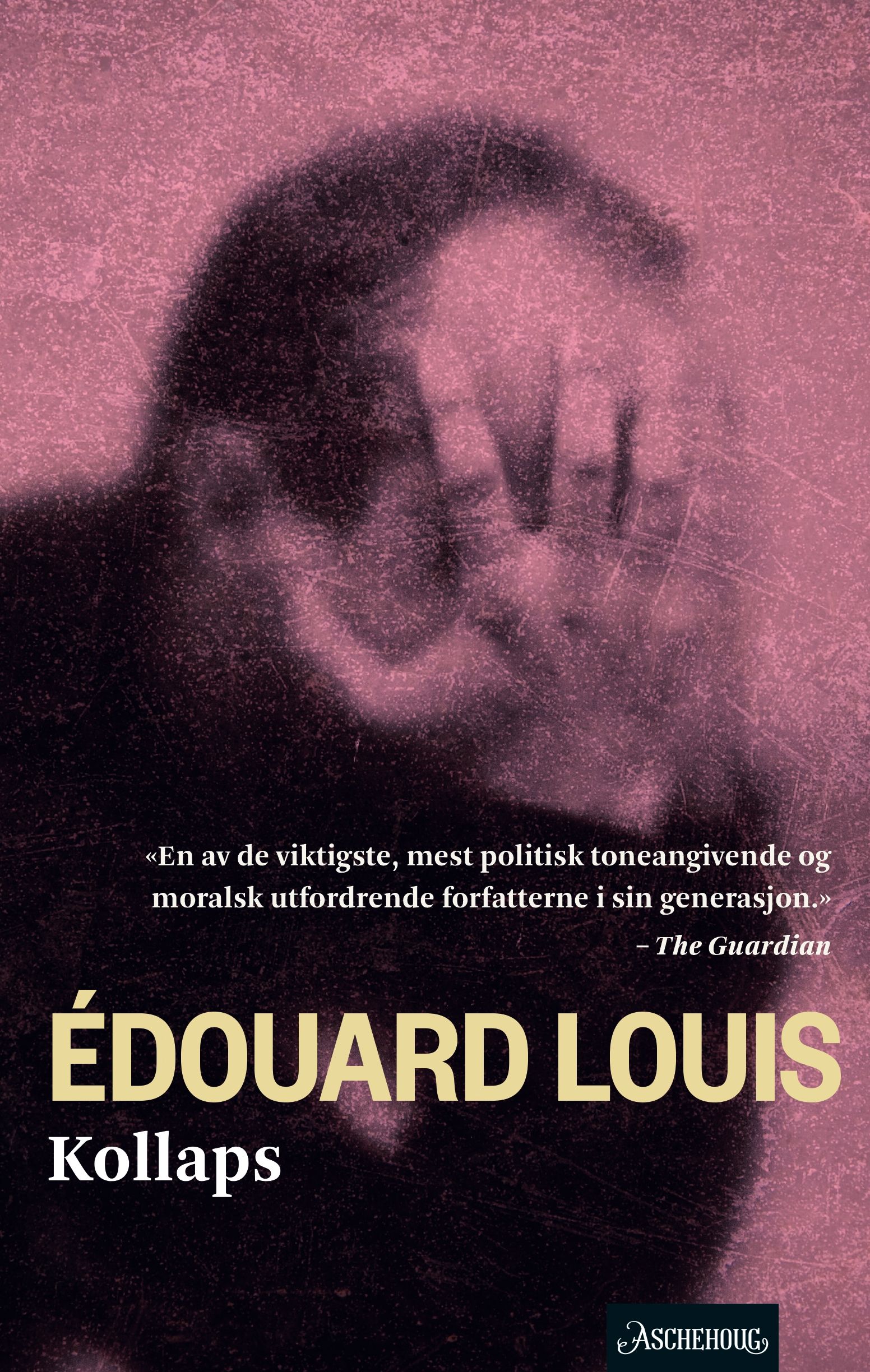"Kollaps" av Édouard Louis
