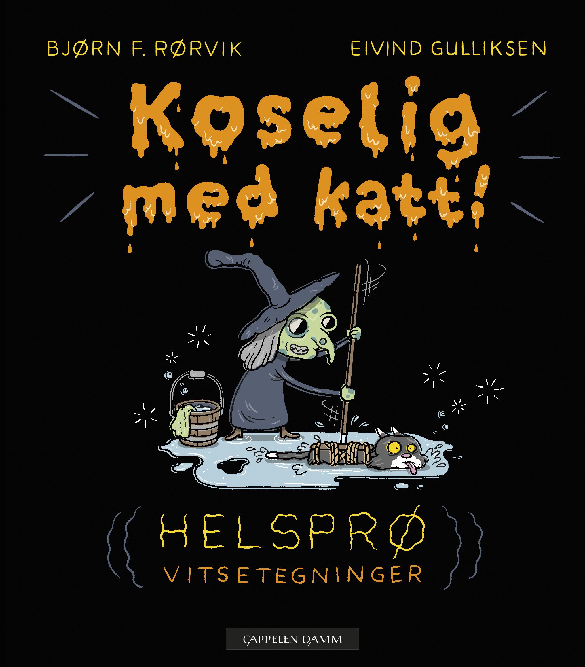 "Koselig med katt" av Bjørn F. Rørvik