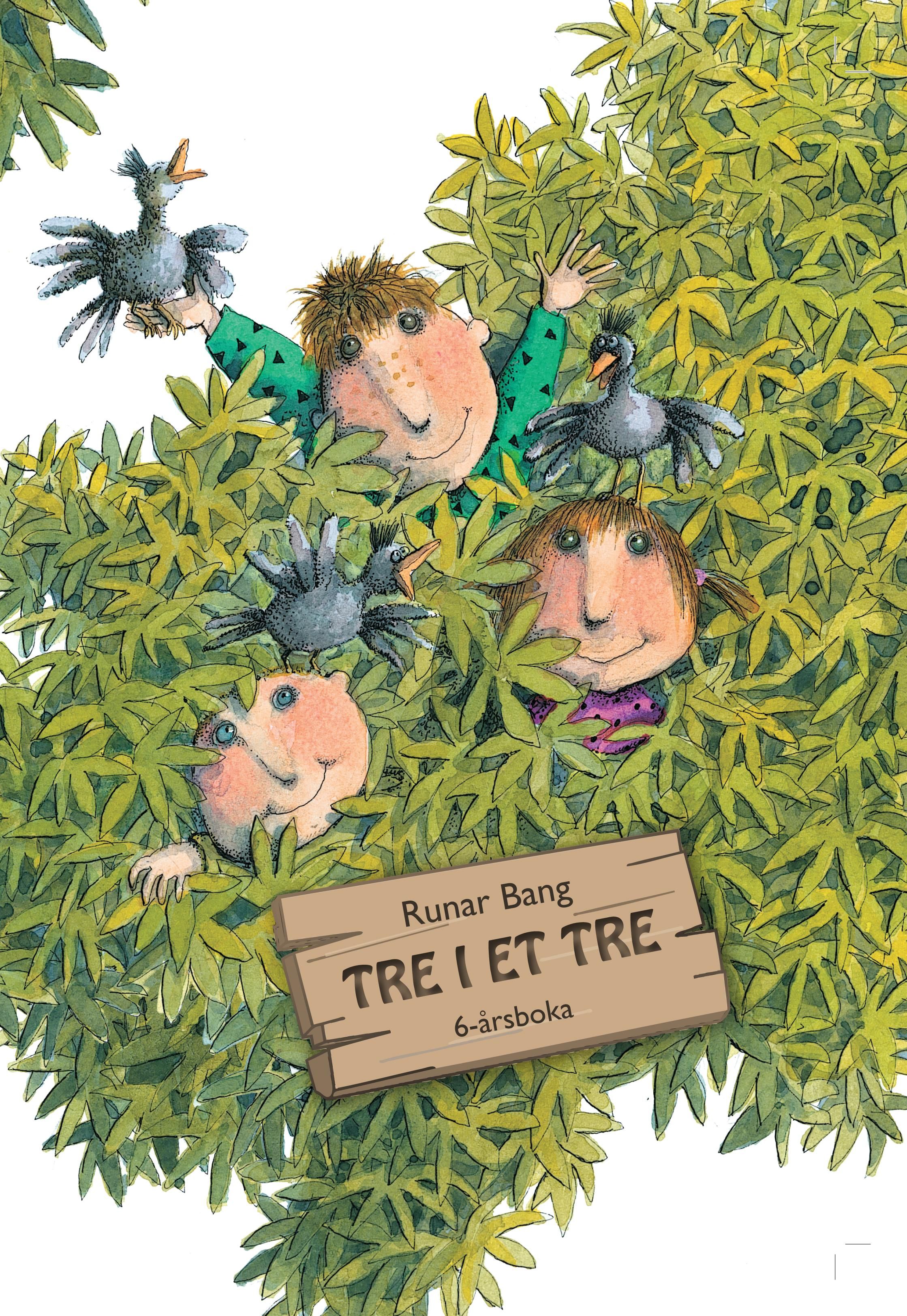 "Tre i et tre - 6-årsboka" av Runar Bang