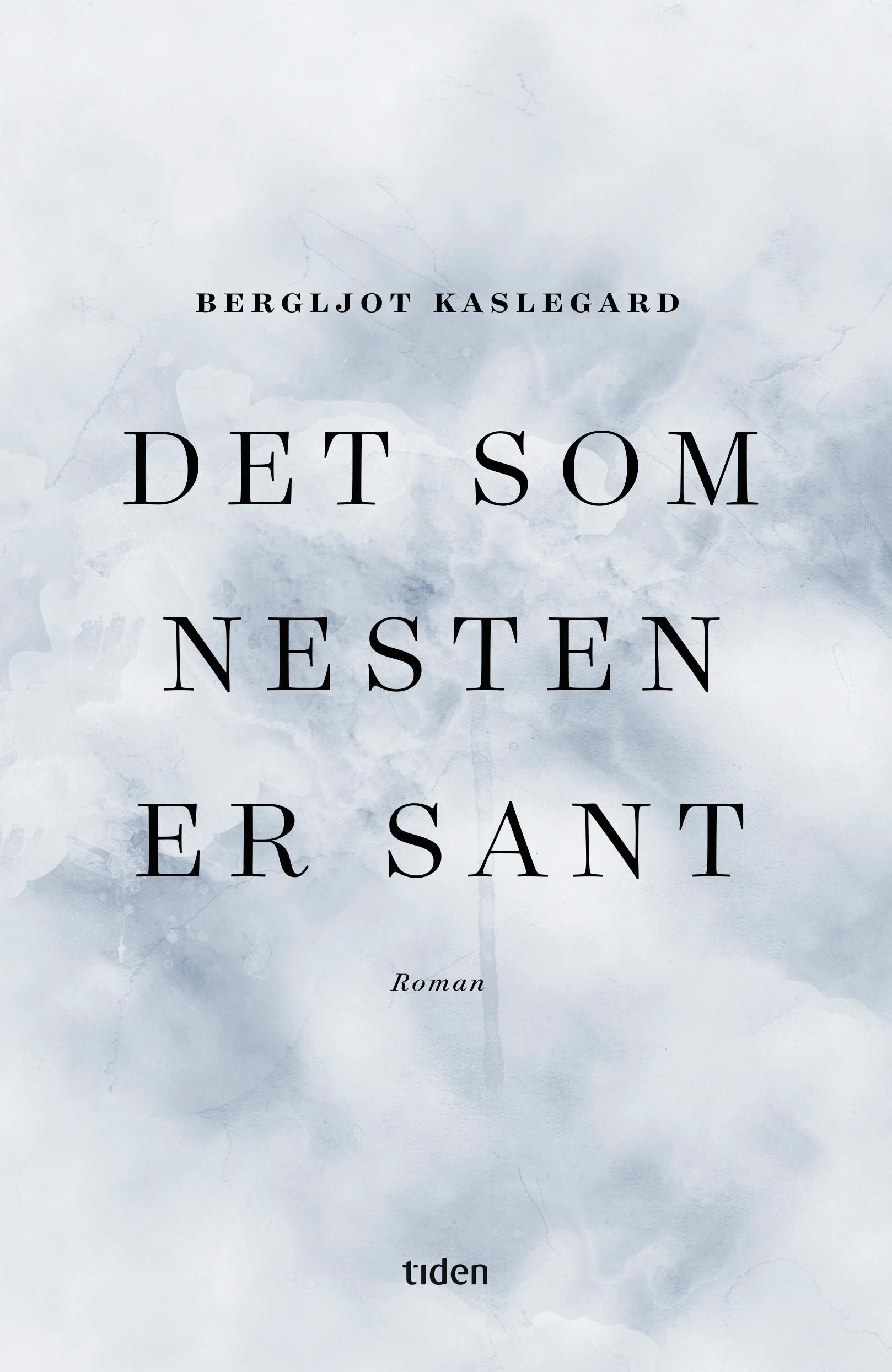 "Det som nesten er sant - roman" av Bergljot Kaslegard