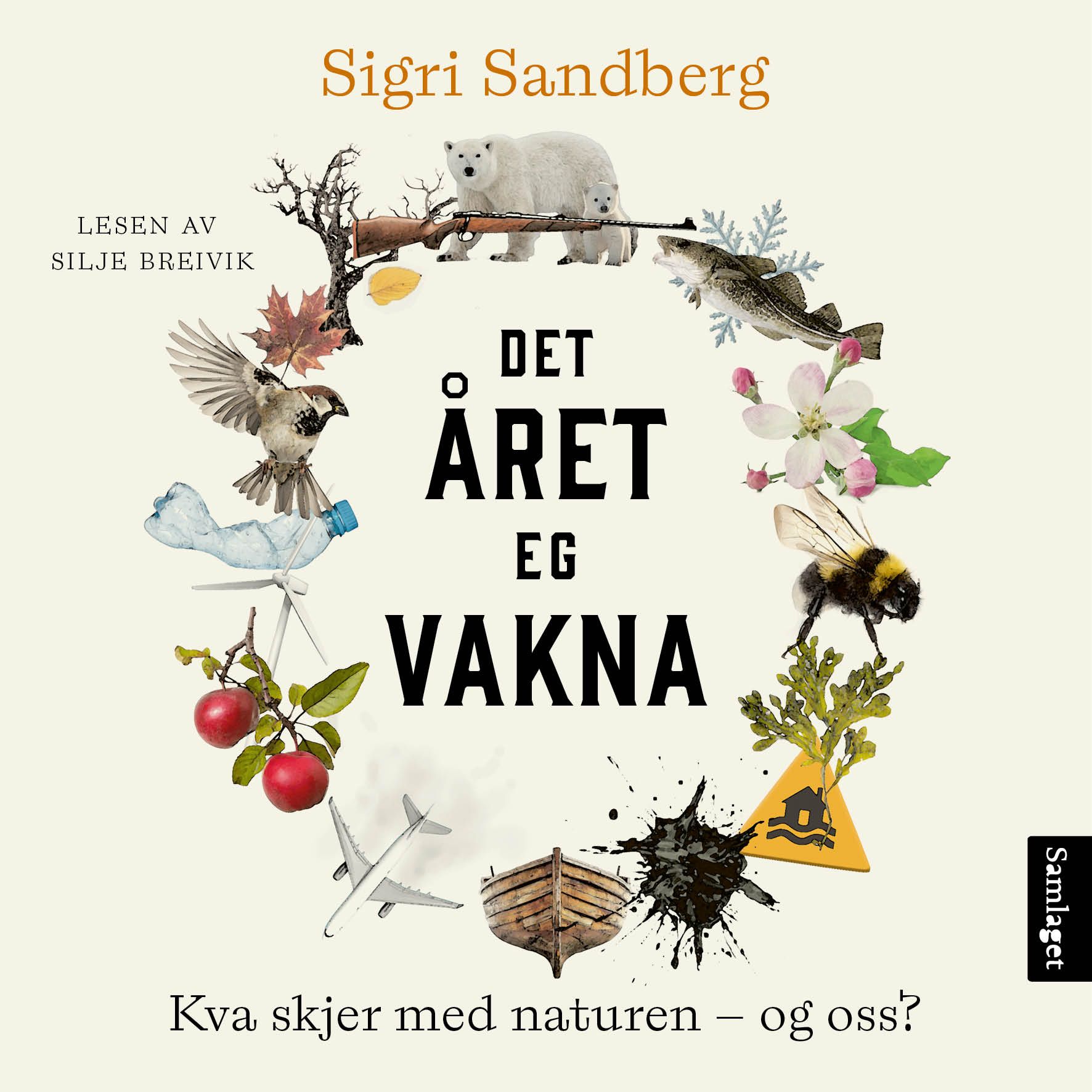 "Det året eg vakna" av Sigri Sandberg
