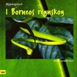"I Borneos regnskog" av Monika Klum