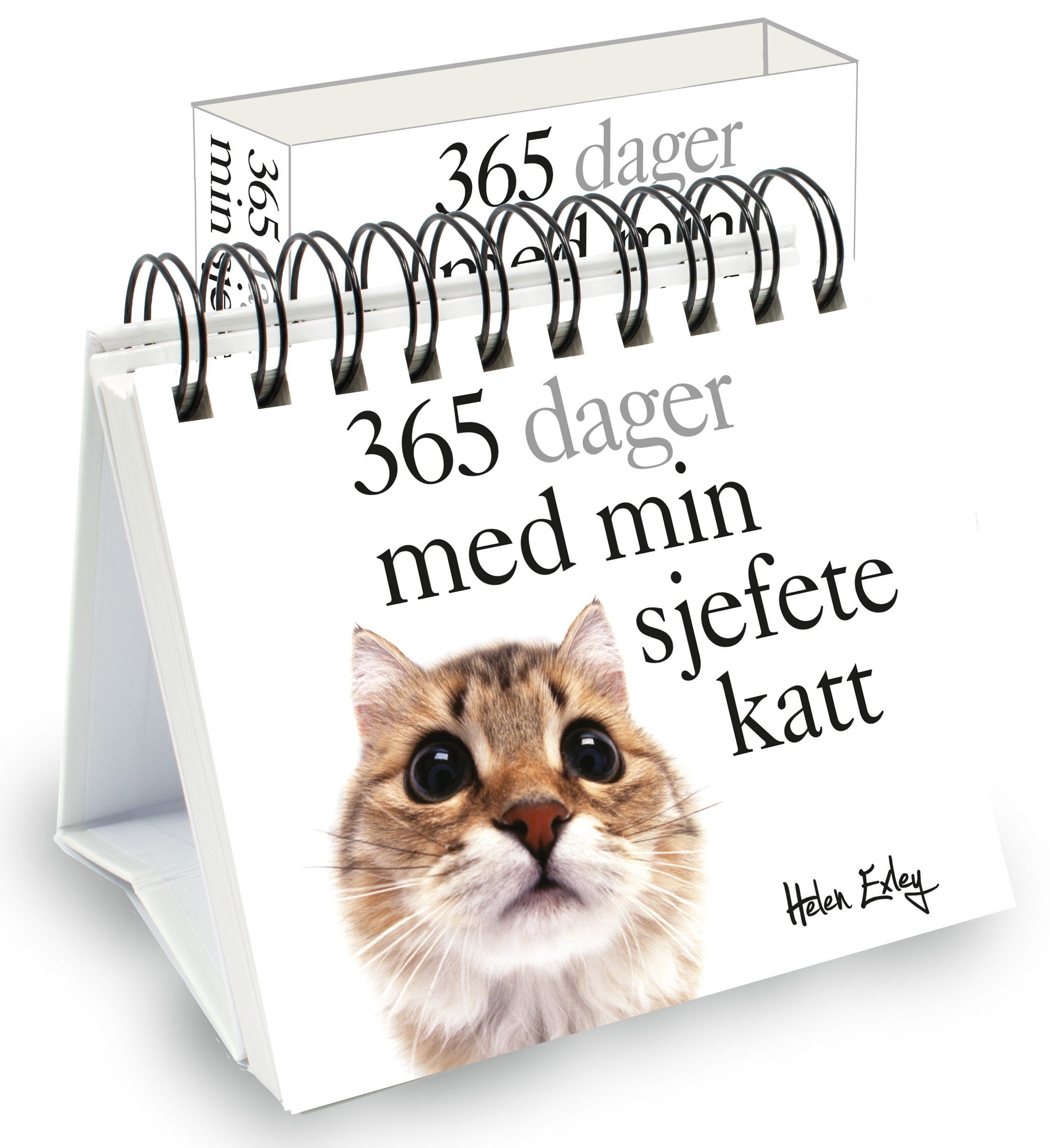 "365 dager med min sjefete katt" av Pam Brown