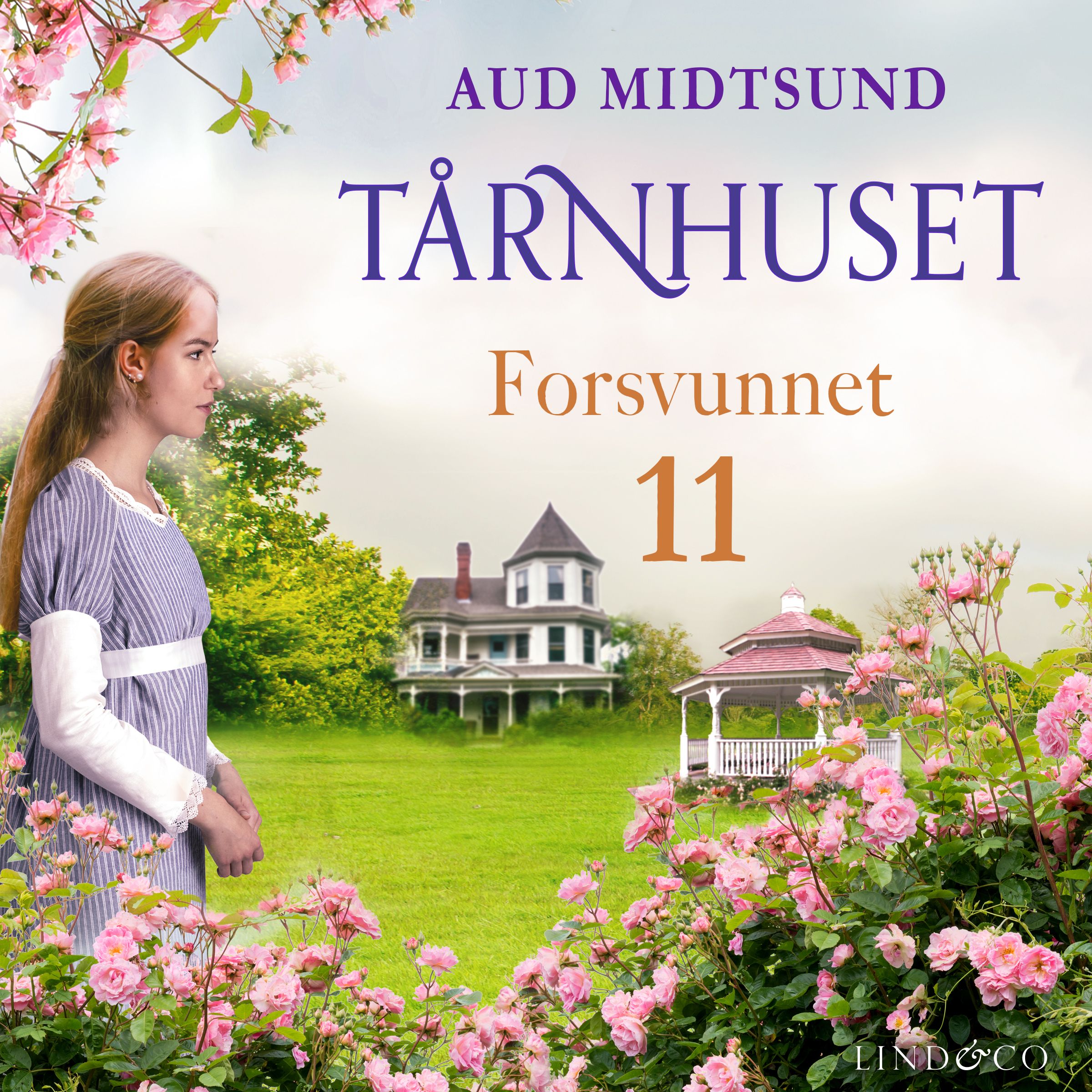 "Forsvunnet" av Aud Midtsund